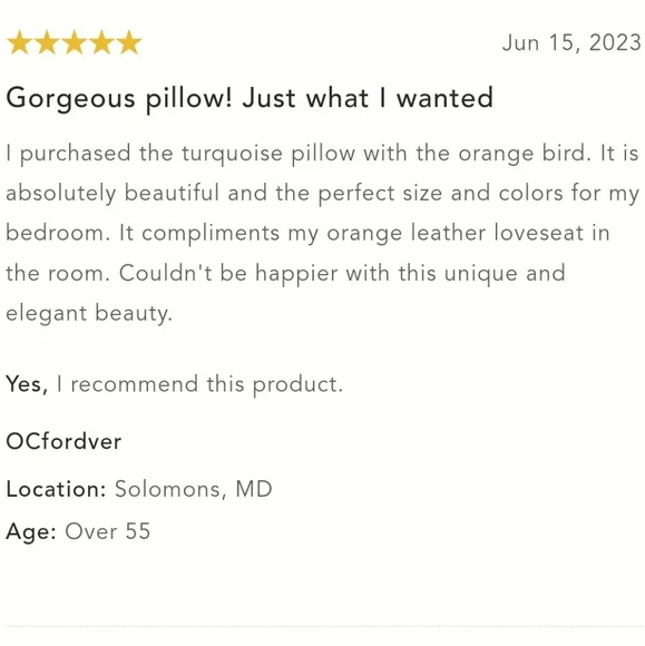 Anthropologie Tassled Perla Bird Pillow - Turquoise - Picture 7 of 14